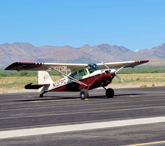 CHAMPION Sky-Trac (N137PC)