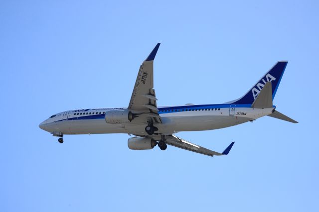 Boeing 737-800 (JA73AN) - September 11th 2018:HND-HKD.