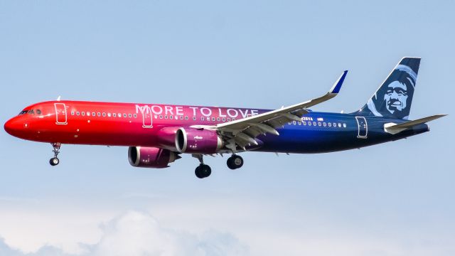 Airbus A321 (N826VA) - More to love at DCA