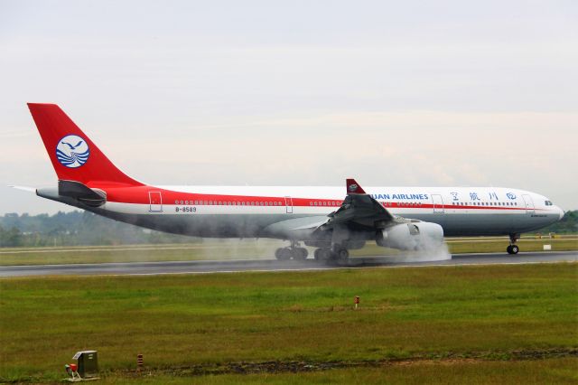 Airbus A330-200 (B-8589) - TIP:Select full-size and wait for a while for better view.