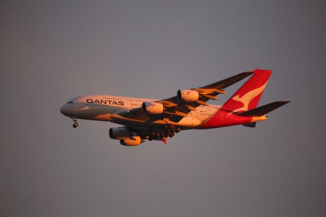 Airbus A380-800 (VH-OQG)