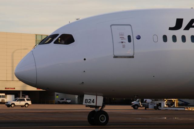 Boeing 787-8 (JA824J) - Nose shot !