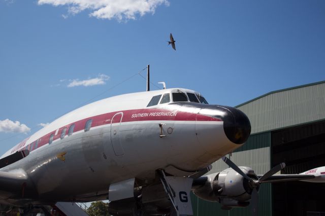 Lockheed EC-121 Constellation (VH-EAG) - Two birds with one stone. The famous HARS connie with one of the locals overhead. 