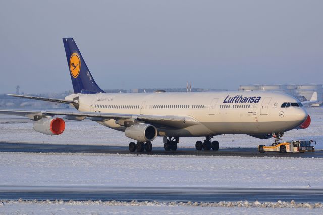 Airbus A340-300 (D-AIGY)