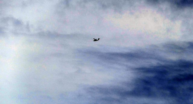 Canadair Challenger (N843BA)