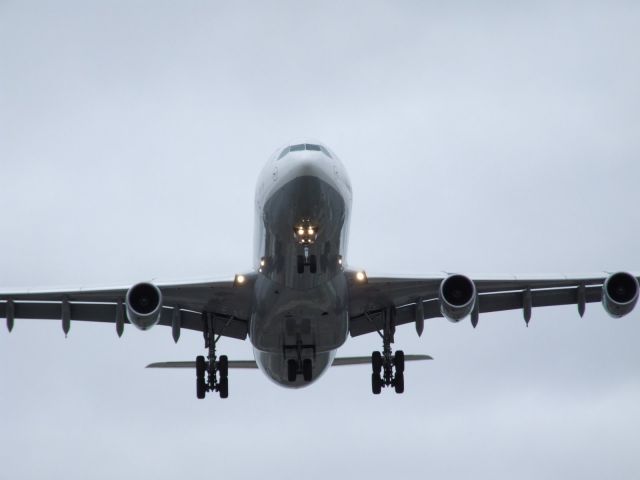 Airbus A340-300 (D-AIGD)