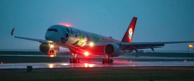 Airbus A350-900 (B-306N) - Sichuan Airlines Panda Route livery Airbus A350 arrival at YVR from Chengdu.