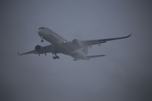 Airbus A350-900 (B-308M)