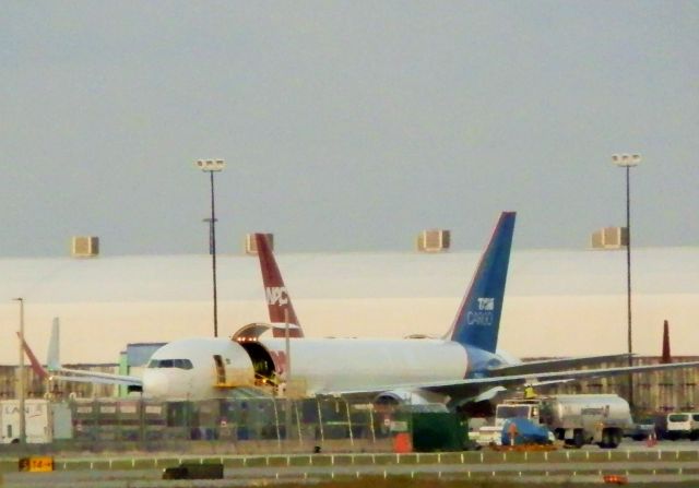 BOEING 767-300 (PR-ACO) - Unloading Cargo!!