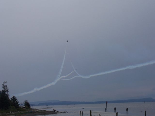 — — - "Pandamonium in the Sky"  Canadian Snowbirds   simply awesome