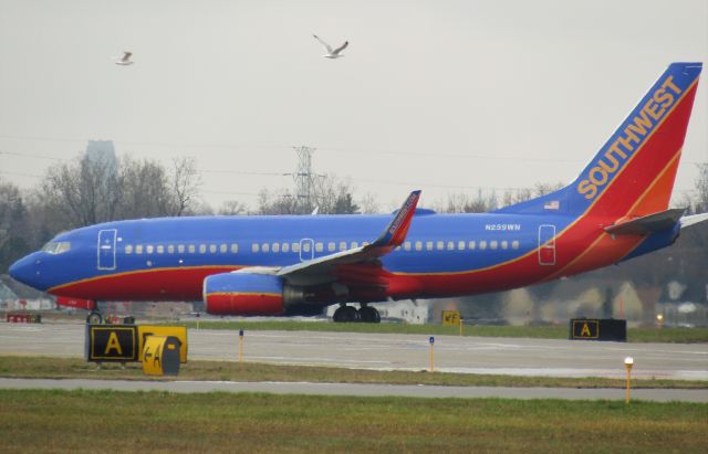 Boeing 737-700 (N259WN) - 737-700 exiting runway 23 with a few bird photobombs. Please select "FULL" for HD quality!