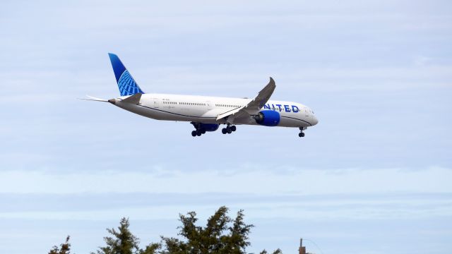 BOEING 787-10 Dreamliner (N13013)