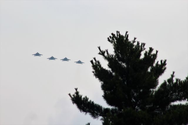 McDonnell Douglas F-15 Eagle — - The many pine trees in & around Volk Field..........br /br /F-15s from Langley AFB approach.