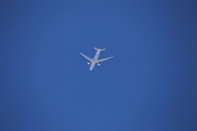 BOEING 777-300ER (TC-JJL)