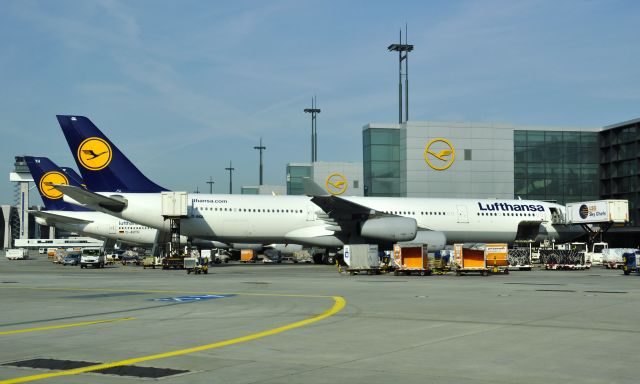 Airbus A340-300 (D-AIGL) - Lufthansa Airbus A340-313X Herne D-AIGL in Frankfurt