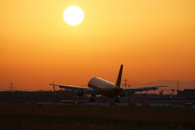 Airbus A300F4-600 (D-AEAT)