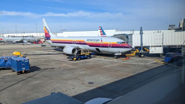 Boeing 737-800 (N917NN) - From the Admirals Club on the B Concourse