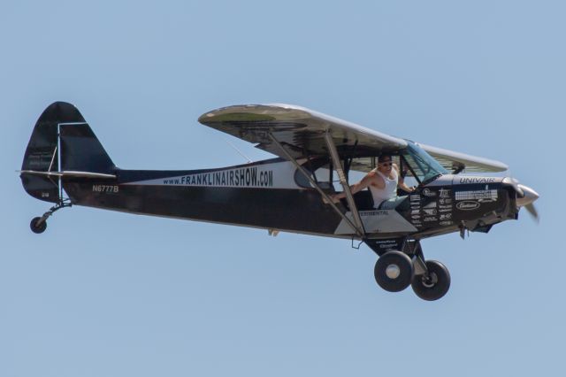 Piper L-21 Super Cub (N6777B)