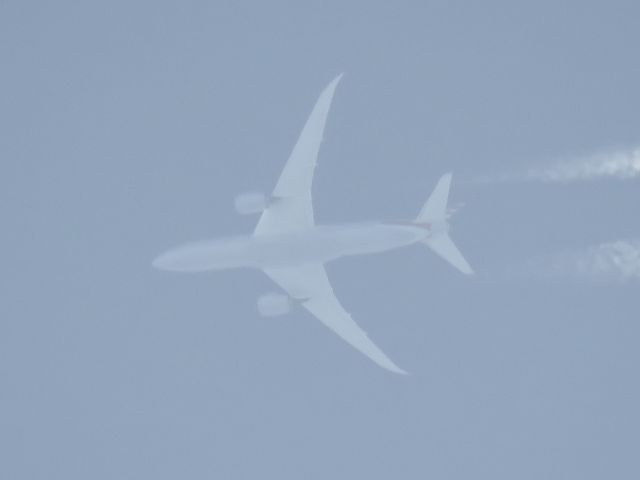 Boeing 787-8 (N808AN)