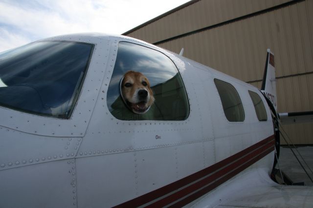 Piper Cheyenne (N6797J)