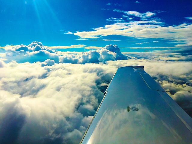 Cirrus SR-22 (N44WF)