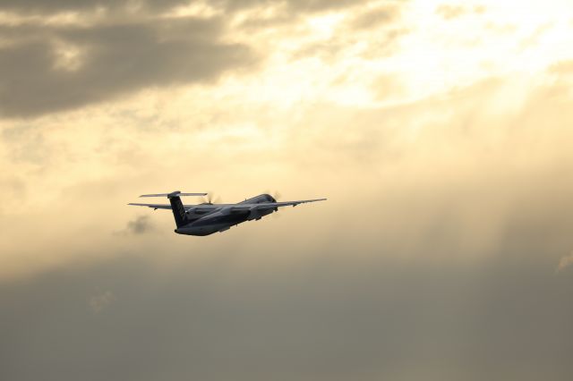 de Havilland Dash 8-400 (JA844A) - September 14th 2017:HKD-CTS.