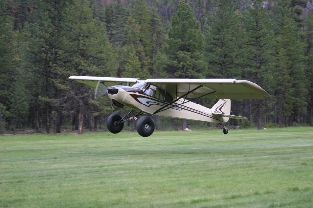 Piper L-21 Super Cub (N70678)