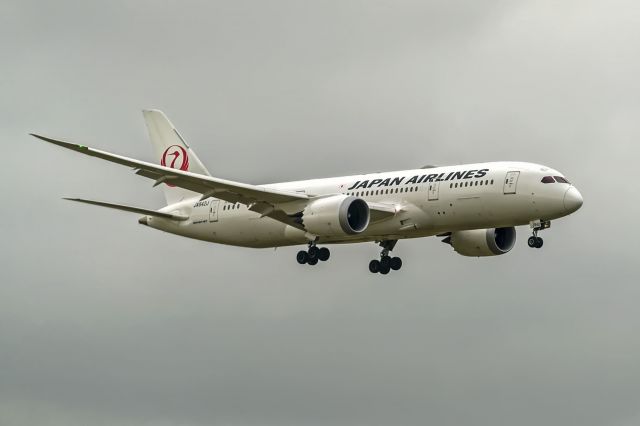 Boeing 787-8 (JA842J)