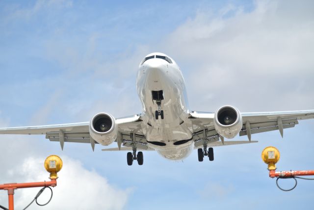 Boeing 737-700 — - Landing 23 Pearson