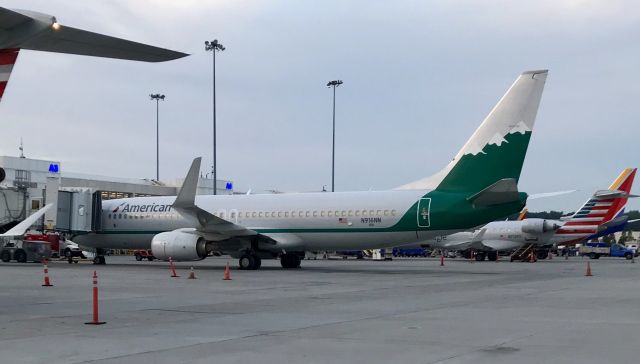 Boeing 737-800 (N916NN) - Photo taken by my dad.  American Airlines Dallas service officially upgraded from the MD-80 to a 737!