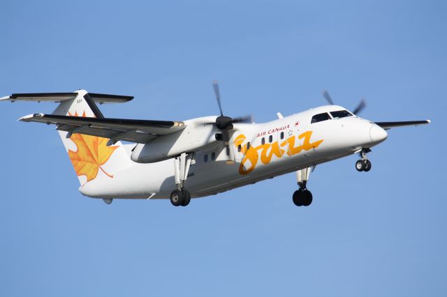 de Havilland Dash 8-100 (C-GANK) - Landing at  CYYZ