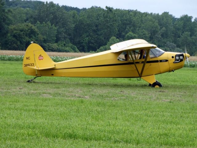 Piper L-14 Cub Cruiser (N38633)