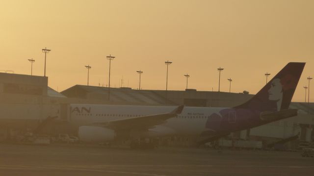 Airbus A330-200 (N375HA) - Preparing for departure to Honolulu. Del to Hawaiian Airlines on 2/25/2015