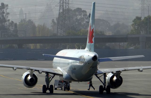 Airbus A319 (C-GARG)