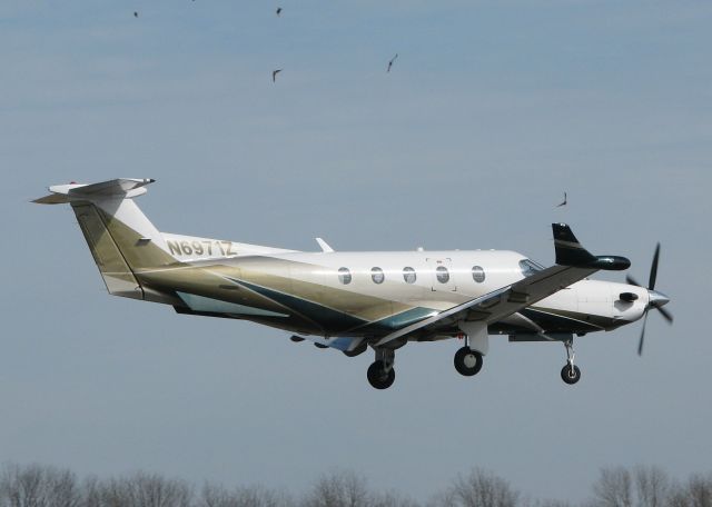 Pilatus PC-12 (N6971Z) - Landing at the Downtown Shreveport airport. This Pilatus and the aircraft before it somehow did not slam the flock of birds on the runway. I dont know how but it couldnt have been more than a few inches from some feather clouds.