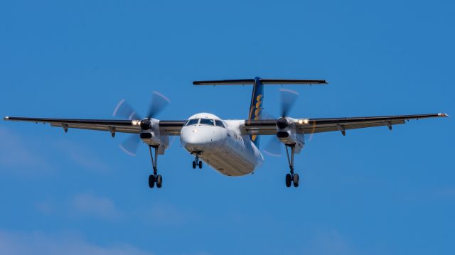 de Havilland Dash 8-100 (VH-XFQ)