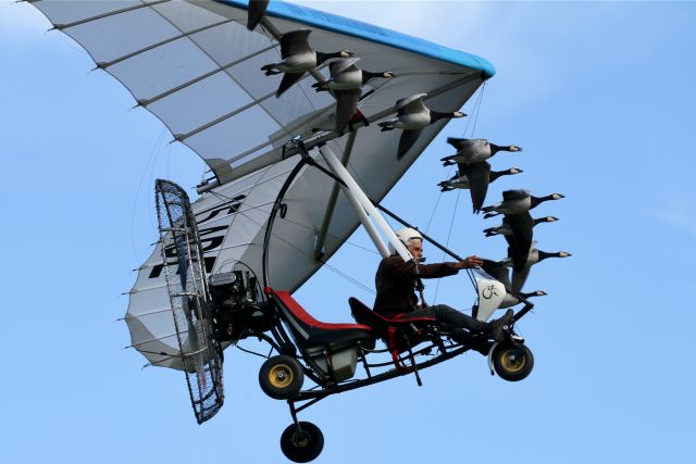 15AED — - This man flies with geese. Incredible but true !