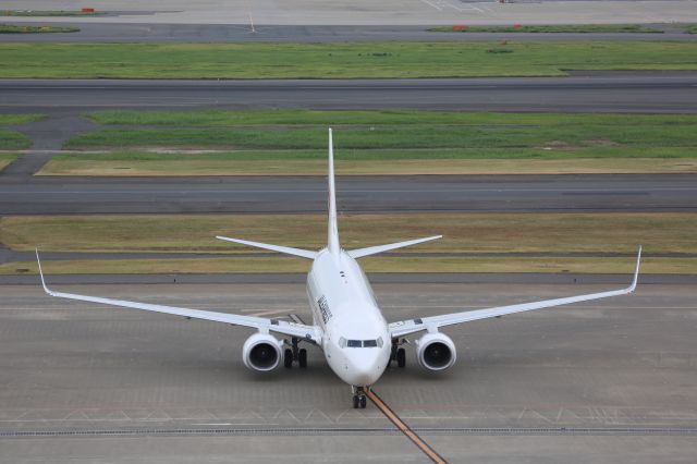 Boeing 737-800 (JA348J)