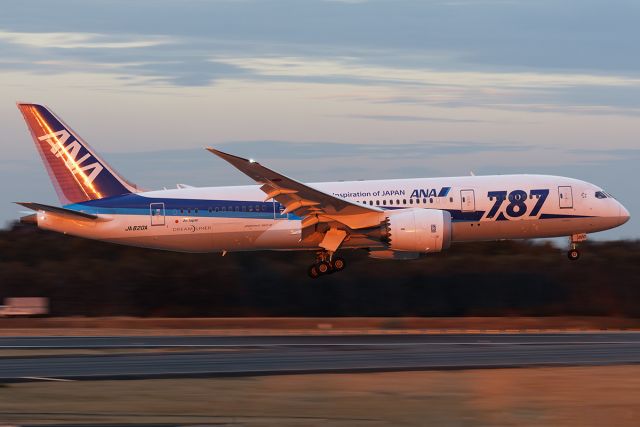 Boeing 787-8 (JA820A)