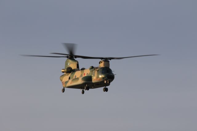 37-4501 — - December 8th 2021:Japan Air Self-Defence Force,Kawasaki CH-47J Chinook.