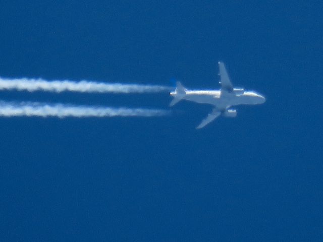 Airbus A319 (N894UA)