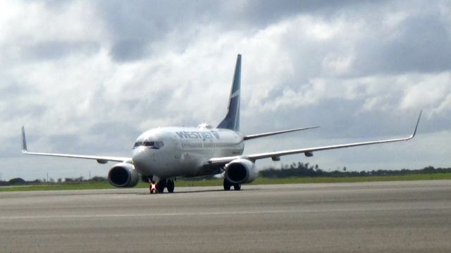 BOEING 737-600 (C-GCWJ)