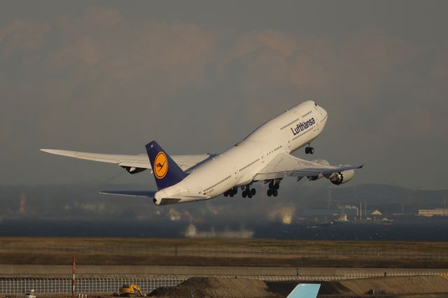 BOEING 747-8 (D-ABYS) - March 9th 2019:HND-FRA.