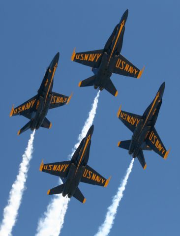 McDonnell Douglas FA-18 Hornet — - 24 July 2010  Blue Angels  US Navy Flight Demonstration Team  Blue Thunder Airshow  Fanning Field  Idaho Falls, ID