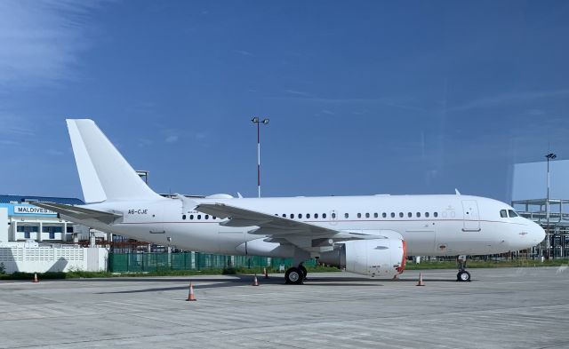 Airbus A319 (A6-CJE)