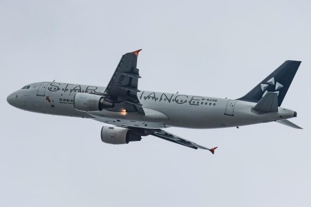 B-6296 — - The star alliance special livery