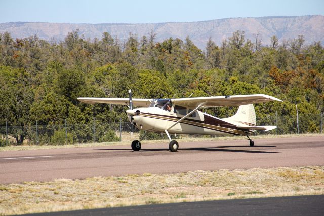 Cessna 170 (N3488C)