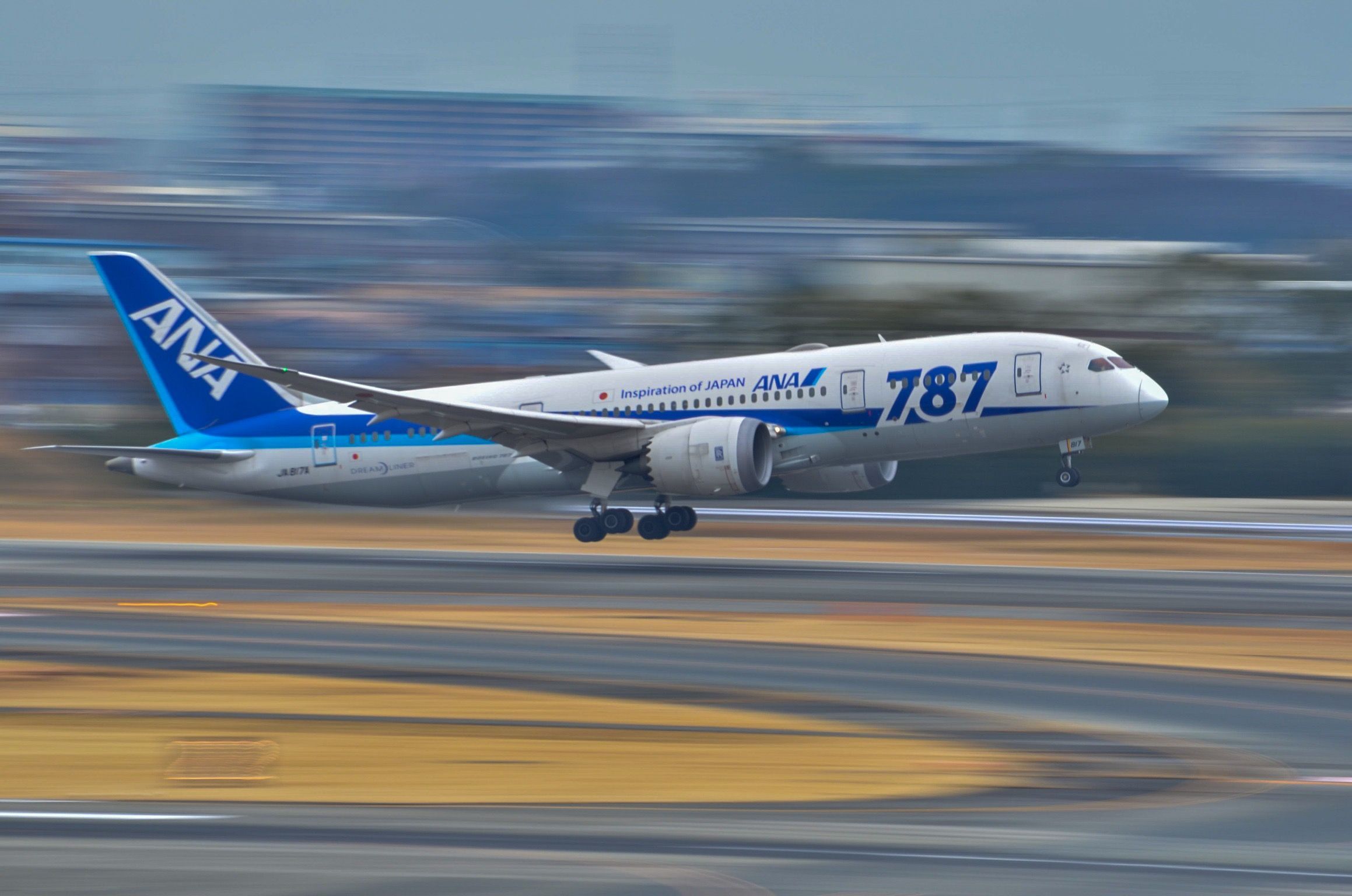 Boeing 787-8 (JA817A)