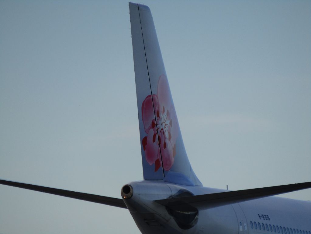 Airbus A330-300 (B-18356)