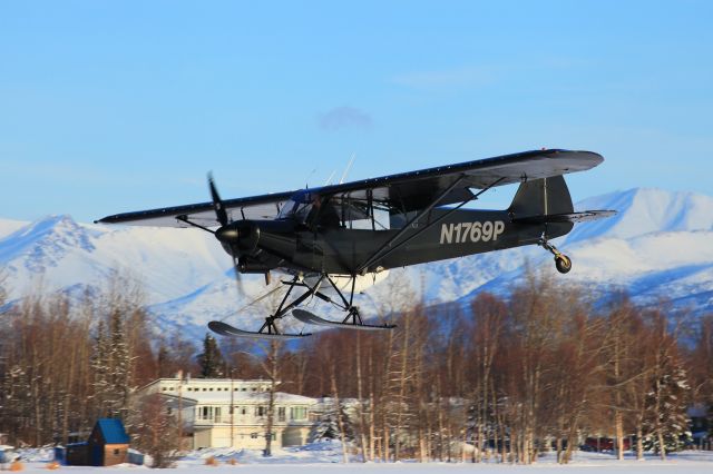 Piper L-21 Super Cub (N1769P)